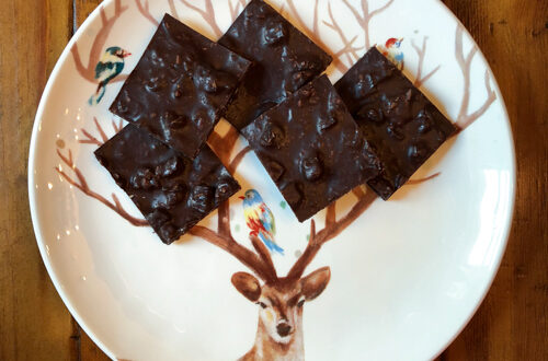 dark chocolate bark with apricots and coconut on a reindeer plate