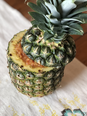 Pineapple Bowl with Salsa