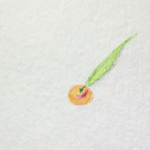 Painting of tiny peach