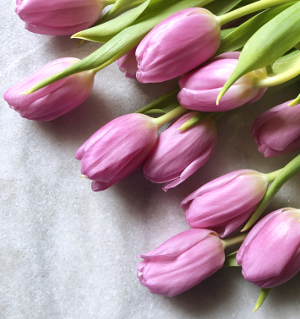 Pink tulips on counter