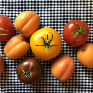 Tomatoes and apricots