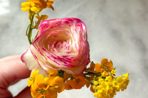 Tiny handheld bouquet of ranunculus and garden flowers