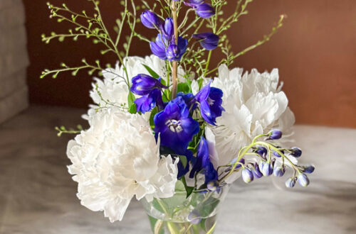 Blue delphiniums and white peonies in a glass vase with green foliage stems
